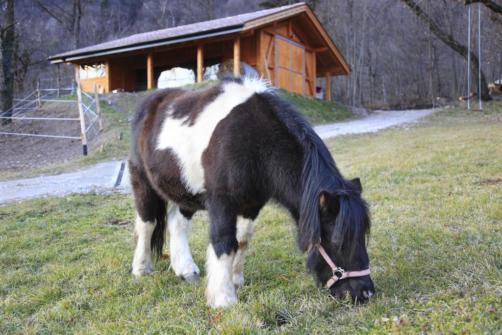 Agritur La Polentera Guest House Storo Luaran gambar